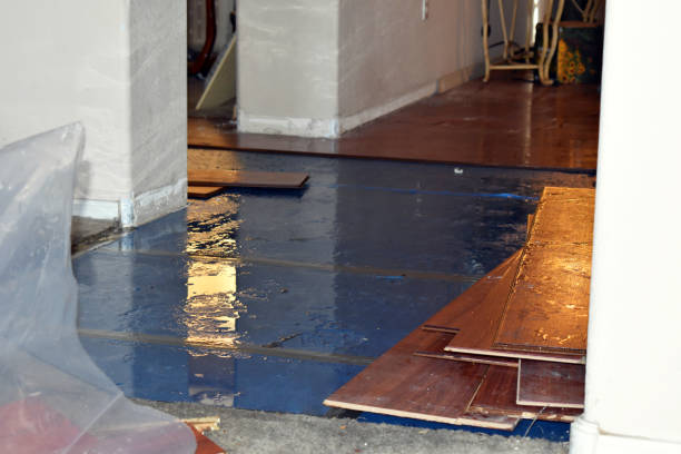 Professional Water Extraction technician working in Six Lakes, MI